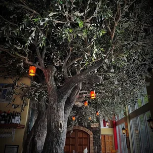 a tree with lanterns hanging from it
