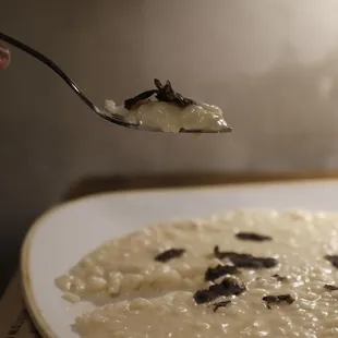 a spoonful of risotto with black trufts