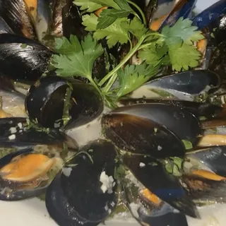 Saute Di Cozze