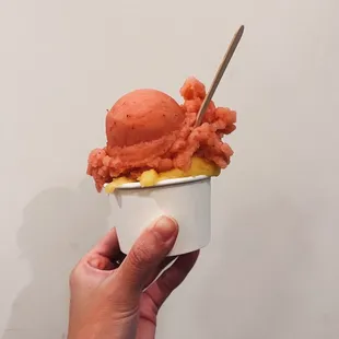 Strawberry &amp; Lilikoi Sorbet