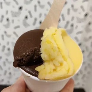 Dark Chocolate sorbetto and lilikoi (passion fruit) - vegan flavors