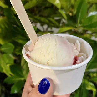 Vegan Strawberry &amp; Cream