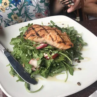 Grilled Salmon Salad