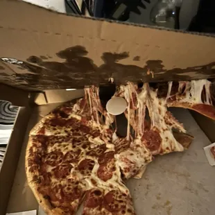 Xl 16&quot; 1 Topping Pizza