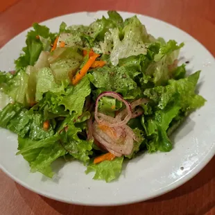 Mista Salad or Insalata Mista