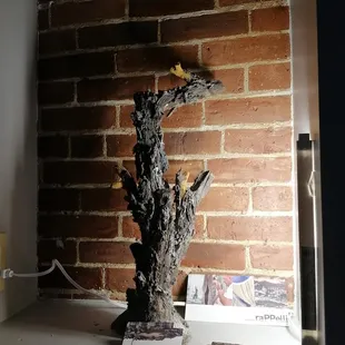 a brick wall and a tree