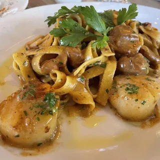 Tagliatelle Sea Scallops and Porcini