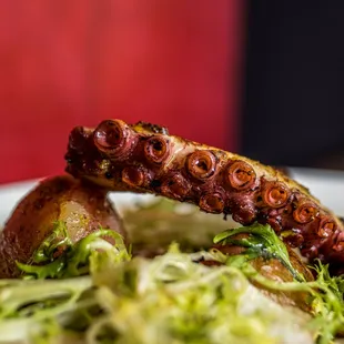 a plate of food with octopus tentacles