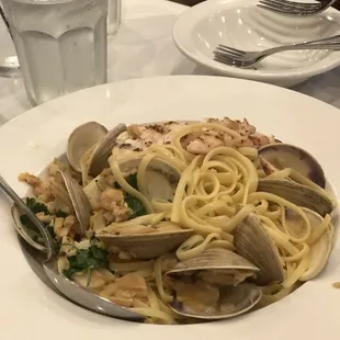 pasta, pasta dish, food