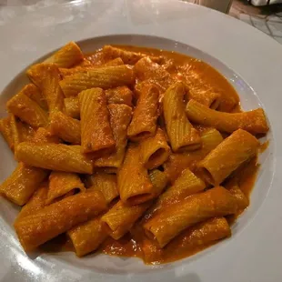Rigatoni in Vodka Sauce