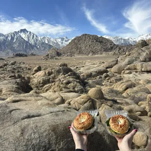 Veggie Bagel &amp; Vibra's Favorite Bagel.