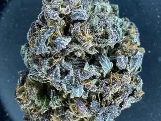 Amsterdam Cafe and Smoke shop