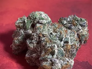 Urban Wellness - Rio Rancho