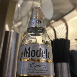 Cold Modelo