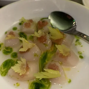 Scallop crudo