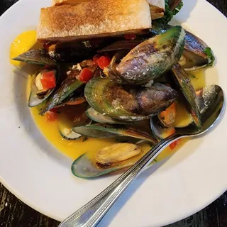 New Zealand Mussels