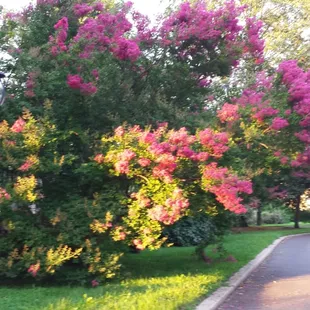 Are you experiencing beauty, inhaling it, loving life? If you aren't having these precious moments, something is wrong...