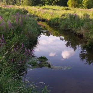 Do you give this to yourself on a regular basis? If not, you are stopping yourself and I can help you discover why - and how ...