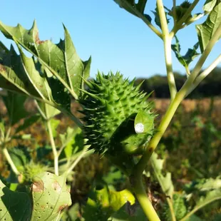  If you grew up in a household involving alcoholism or drug abuse, emotional, verbal or sexual abuse, you knew it was smart t...