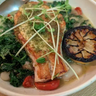 Parmesan & Herb Crusted Salmon