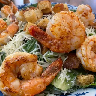 Sissy's Caesar