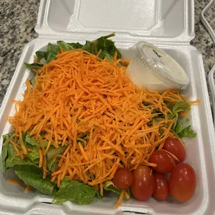 Garden salad no onions