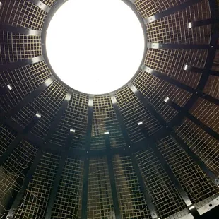The bird cage elevator
