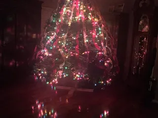 Marty's Xmas Tree Lot