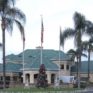 a christmas tree in front of a hotel