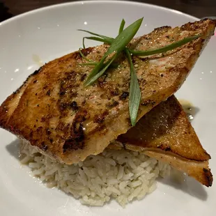 Red Snapper