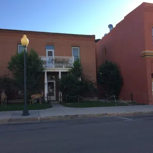 Deer having brunch downtown