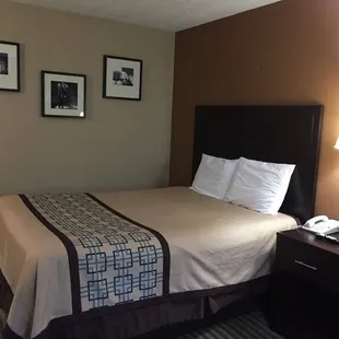Single Queen Room