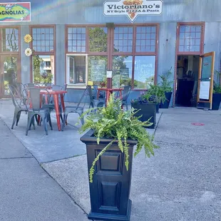 a potted plant in front of a restaurant