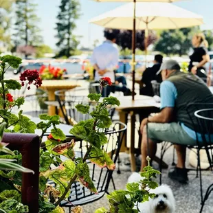 Our dogs are happy here on their spacious patio.