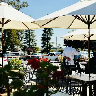 Their dog friendly patio