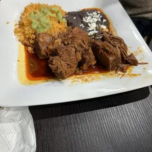 Birria Plate