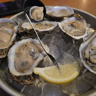 oysters and mussels, mussels, oysters, shellfish, food