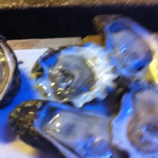 Oysters