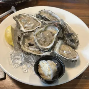 Oysters