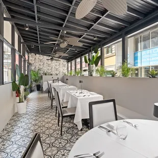 Outdoor Palm Terrace