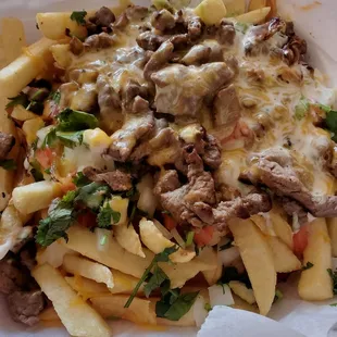 9/24/21 Carne Asada Fries
