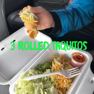a person holding a taco and a fork