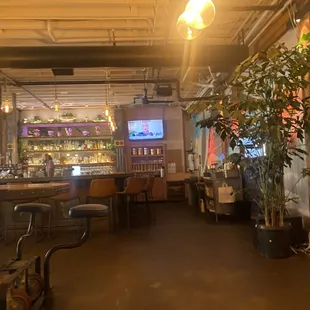 ramen and noodles, interior