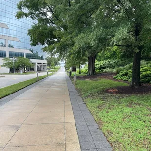 Sidewalk down to the water