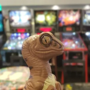 Bob the Raptor says &quot;If you are a mammal who likes pinball games this place is for you.&quot;