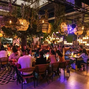 Vida Cocina Tequila