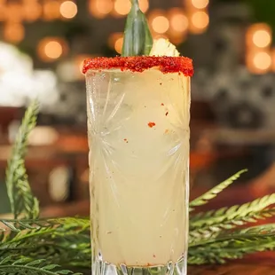 Vida Cocina &amp; Tequila