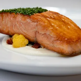a piece of salmon on a white plate