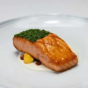 a piece of salmon on a white plate