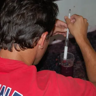 Checking the BRIX reading (measuring the sugar in the grapes) during harvest